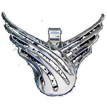 GRILLEVLEUGEL SLINGERGAT GRILLEVLEUGEL SLINGERGAT