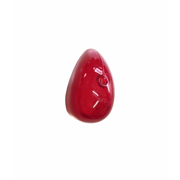 CLIGNOTEURKAP ACHTER ROOD